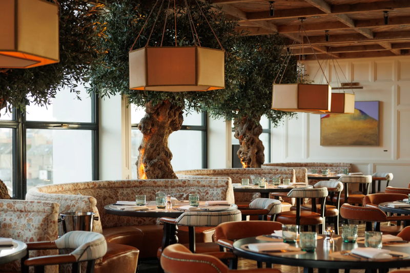 Dining area at The Leinster, featuring cosy seating and indoor olive trees.